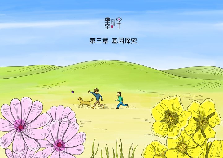第三章 基因探究（九）