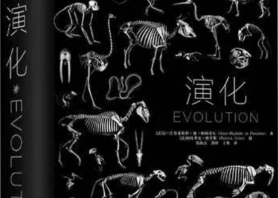 成长中的进化论|关于进化论的一些常见误区（一）