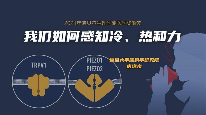 唐逸泉：我们如何感知冷、热和力 | 2021年·第8期